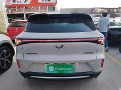 Wuling Bingguo S 325km Deluxe Edition - ფოტო 6