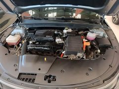 BYD Destroyer 05 Glory Edition DM-i 55KM Luxury - ფოტო 20