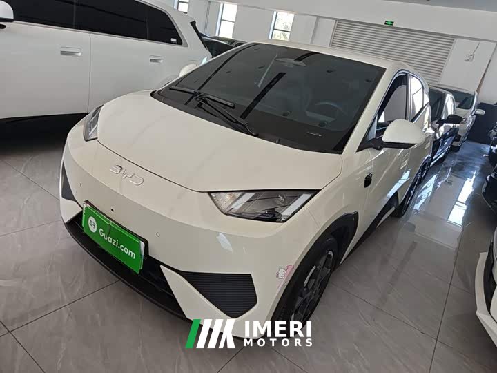 BYD Seagull Smart Driving Edition 305km Freedom Edition