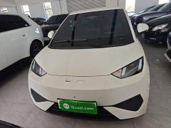 BYD Seagull Smart Driving Edition 305km Freedom Edition - ფოტო 3