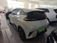 BYD Seagull Smart Driving Edition 305km Freedom Edition - ფოტო 5