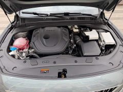 Geely Xingrui 2026 Oriental Radiance 2.0T Diesel Moonlight Edition - ფოტო 11