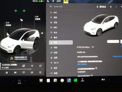Tesla Model Y Rear-Wheel Drive - ფოტო 12
