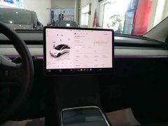 Tesla Model Y Rear-Wheel Drive - ფოტო 13
