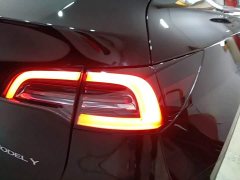 Tesla Model Y Rear-Wheel Drive - ფოტო 8