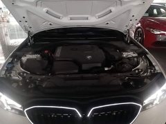 BMW 3 Series 330Li M Sport Night Edition Package - ფოტო 10