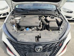Changan Eado PLUS 1.4T Dual-Clutch High-Performance Edition - ფოტო 20