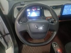 Wuling Hongguang MINIEV 2020 Zizai Edition LFP Battery - ფოტო 11