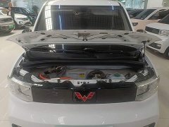 Wuling Hongguang MINIEV 2020 Zizai Edition LFP Battery - ფოტო 20