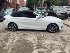 BMW 2 Series (Imported) 2019 225i Convertible Sports Design Package - ფოტო 8