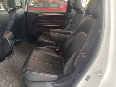 GAC Aion M6 2021 PRO 270T Automatic Luxury - ფოტო 17