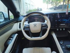 BYD Song L EV 662km Excellence Edition - ფოტო 11
