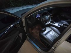 Jetour DS 4 2023 1.6T Rivoli CROSS Edition - ფოტო 14