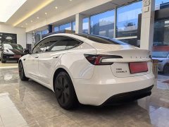 Tesla Model 3 2023 Rear-Wheel Drive - ფოტო 7