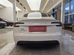 Tesla Model 3 2023 Rear-Wheel Drive - ფოტო 8