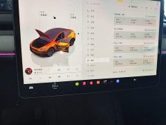 Tesla Model Y Rear-Wheel Drive - ფოტო 12
