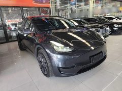 Tesla Model Y Rear-Wheel Drive - ფოტო 4