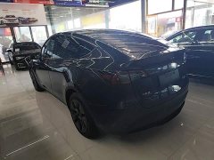 Tesla Model Y Rear-Wheel Drive - ფოტო 5