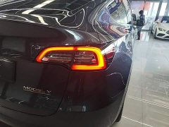 Tesla Model Y Rear-Wheel Drive - ფოტო 8