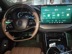 BYD Tang New Energy 2021 DM-i 112KM Premium Edition - ფოტო 13