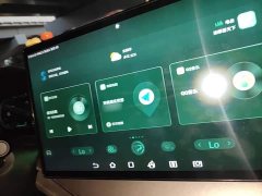 BYD Tang New Energy 2021 DM-i 112KM Premium Edition - ფოტო 19