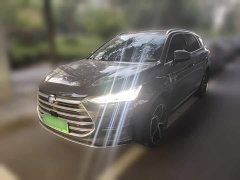 BYD Tang New Energy 2021 DM-i 112KM Premium Edition - ფოტო 2