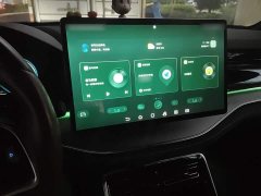 BYD Tang New Energy 2021 DM-i 112KM Premium Edition - ფოტო 6