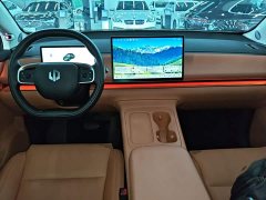 Leapmotor C16 Pure Electric 520 Deluxe Edition - ფოტო 10