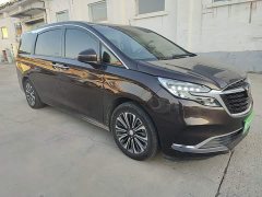 Buick GL8 ES Land Respect 653T Luxury - ფოტო 4