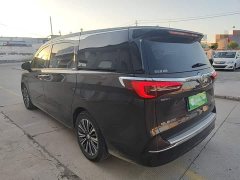 Buick GL8 ES Land Respect 653T Luxury - ფოტო 5