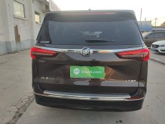 Buick GL8 ES Land Respect 653T Luxury - ფოტო 6