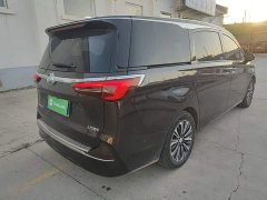 Buick GL8 ES Land Respect 653T Luxury - ფოტო 7