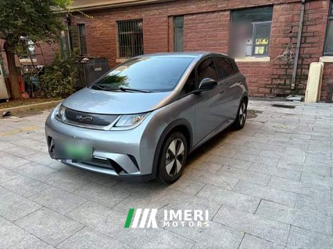 2024 BYD Dolphin 420km Freedom Edition - автомобиль из Китая
