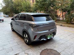 BYD Dolphin 2023 420km Freedom Edition - ფოტო 10
