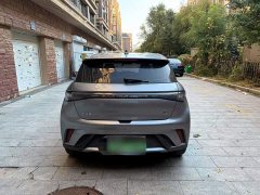 BYD Dolphin 2023 420km Freedom Edition - ფოტო 13