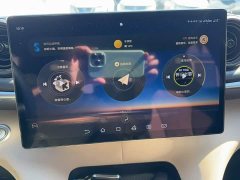 BYD Dolphin 2023 420km Freedom Edition - ფოტო 4