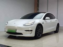 Tesla Model 3 Standard Range RWD Upgrade 3D6 - ფოტო 1