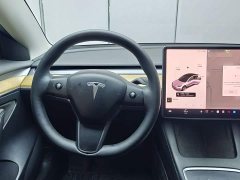 Tesla Model 3 Standard Range RWD Upgrade 3D6 - ფოტო 16