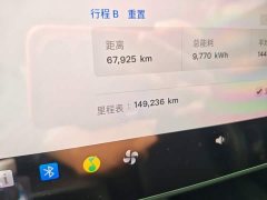 Tesla Model 3 Standard Range RWD Upgrade 3D6 - ფოტო 5