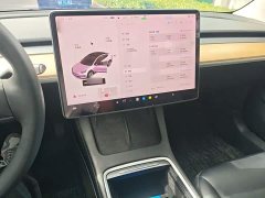 Tesla Model 3 Standard Range RWD Upgrade 3D6 - ფოტო 6