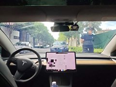 Tesla Model 3 Standard Range RWD Upgrade 3D6 - ფოტო 9