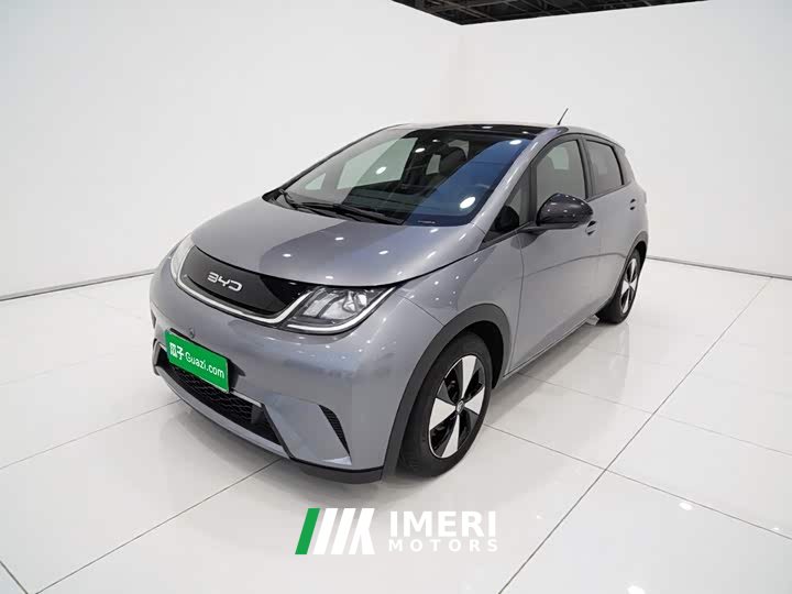 BYD Dolphin 420km Fashion Edition - ავტომობილი ჩინეთიდან