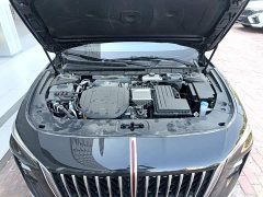 FAW Hongqi H5 PHEV 130 Super Hybrid Edition - ფოტო 20