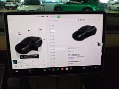 Tesla Model Y Rear-Wheel Drive - ფოტო 12