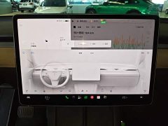 Tesla Model Y Rear-Wheel Drive - ფოტო 13