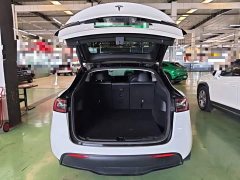 Tesla Model Y Rear-Wheel Drive - ფოტო 19