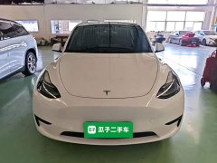 Tesla Model Y Rear-Wheel Drive - ფოტო 3