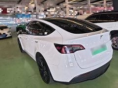Tesla Model Y Rear-Wheel Drive - ფოტო 5