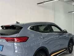 Haval H6 National Trend Edition 1.5T Automatic Urban Version - ფოტო 10