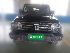 Tank 300 2021 Off-Road Edition 2.0T Conqueror - ფოტო 5